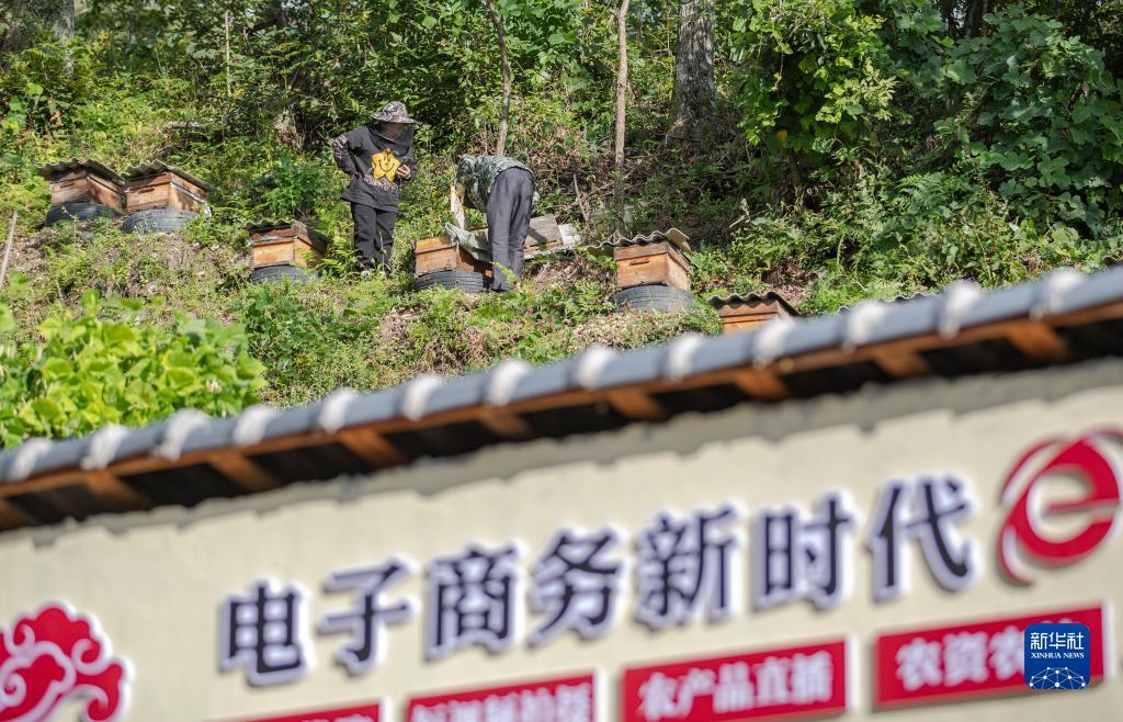 威尼斯赌城线上网投